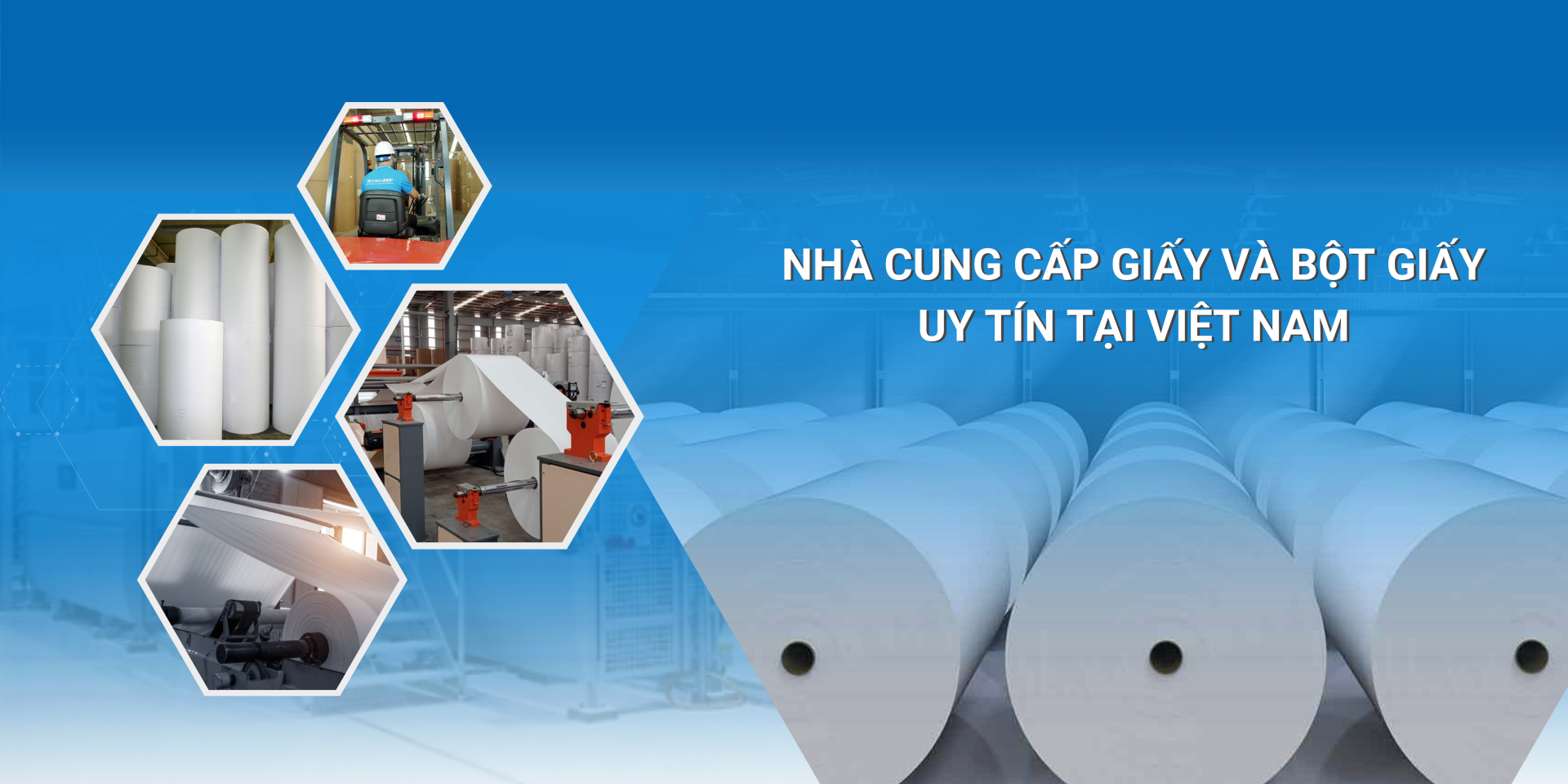 Giấy và Bột giấy